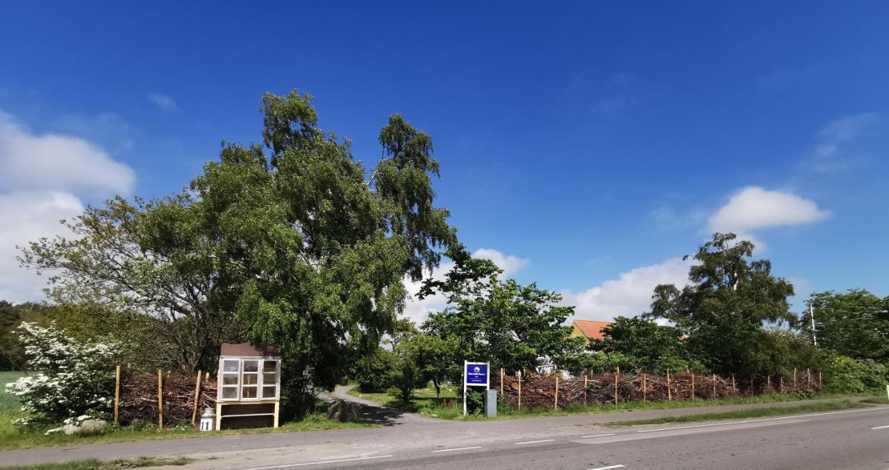The Cherry Apartment - 'Den Gule Svane' Guest House near Rønne&Beach Buitenkant foto