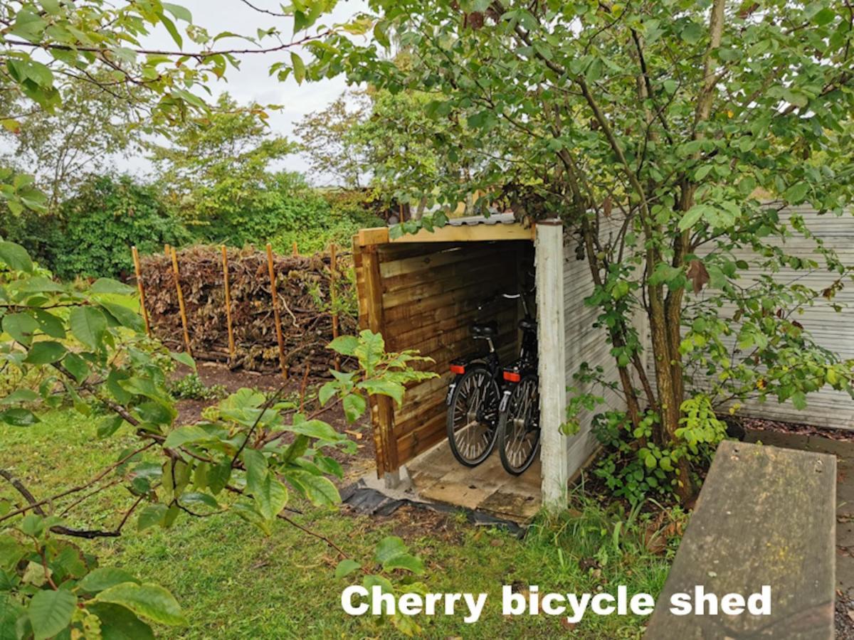 The Cherry Apartment - 'Den Gule Svane' Guest House near Rønne&Beach Buitenkant foto